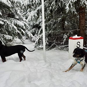 Čaky na vrcholu Dupačka (9.1.2021 9:50)