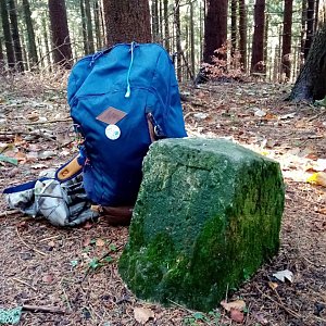 Jiřina na vrcholu Oselná (15.11.2021 11:35)
