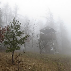 Iveta Válová na vrcholu Křivoš (8.2.2014)