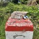 ZdenkaV na vrcholu Priehybok (23.7.2023)