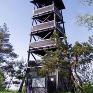 Bobina on the summit of Hrby (5.7.2021 11:58)