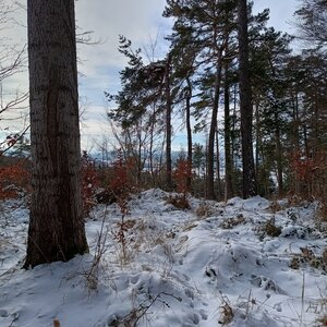 VěrkaN na vrcholu Velký Šibák (14.1.2024 12:30)