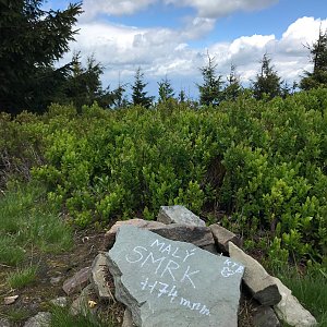 Boris na vrcholu Malý Smrk (28.5.2022 12:32)