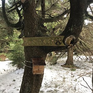 cadic na vrcholu Malý Smrk (18.3.2020 14:22)