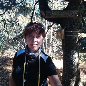 hanule na vrcholu Malý Smrk (13.10.2018 12:17)
