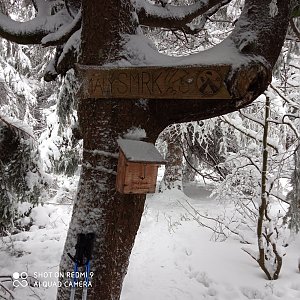 MartinB na vrcholu Malý Smrk (6.1.2021 8:25)