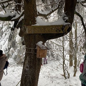Zuzana Smržová na vrcholu Malý Smrk (10.1.2021 12:12)