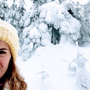 Andulka na vrcholu Malý Smrk (26.1.2019 12:41)