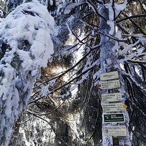 Baajaa na vrcholu Malý Smrk (20.2.2021 8:21)