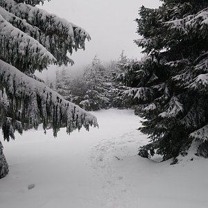 BarůůŠ Heczková na vrcholu Malý Smrk (12.2.2019 13:19)