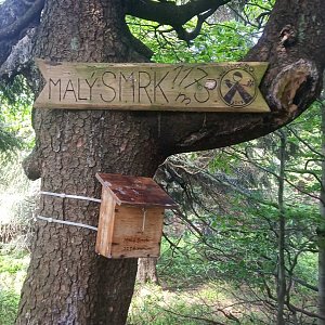 Nela na vrcholu Malý Smrk (8.6.2019 19:48)