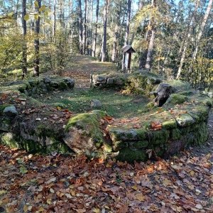 VěrkaN na vrcholu Šibeniční vrch (28.10.2024 13:47)
