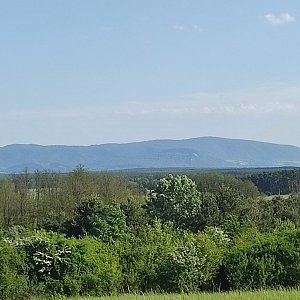 Lili na vrcholu Starý hrad (11.5.2022 16:24)