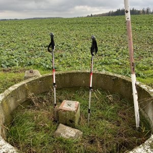 Radka D na vrcholu Přední kopec (17.11.2023 12:13)