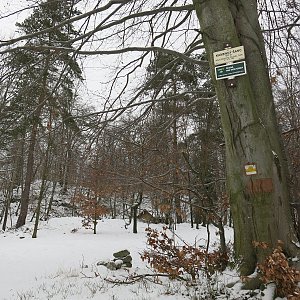 ZdenkaV na vrcholu Kamenný šanc (14.1.2021)