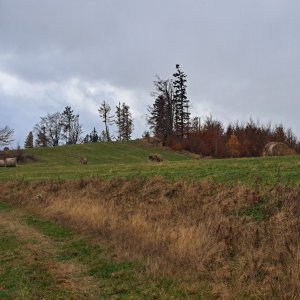 Horalka Anička on the summit of Kamenec (30.10.2024 12:57)