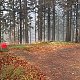 Alexandr Starý na vrcholu Bařiny (21.11.2021 14:55)