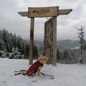 Michal Tomko on the summit of Bařiny (15.2.2025 16:38)