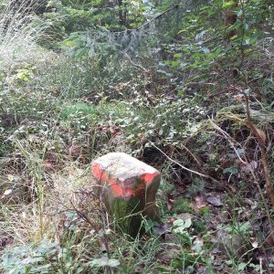 ZdenkaV on the summit of Bařiny V (28.9.2025 12:00)
