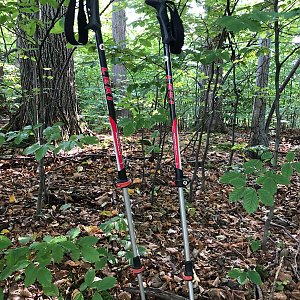 Radka D na vrcholu Kožná (27.8.2022 10:01)