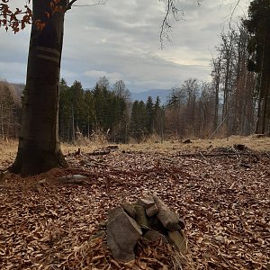 ZdenkaV na vrcholu Kožná (3.1.2023 12:19)