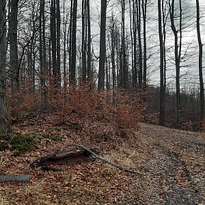 ZdenkaV na vrcholu Kožná J (3.1.2023 12:15)