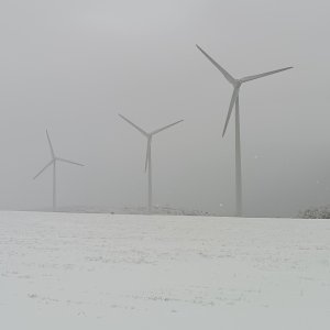 Monika na vrcholu Vrch tří pánů (15.2.2025 11:21)