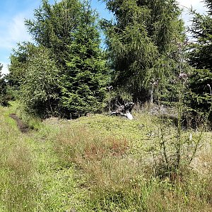 ZdenkaV na vrcholu Pestrý (30.7.2021)