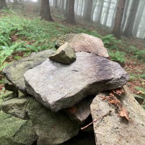Mertelici na tripu na vrcholu Medvědí skály (23.8.2023 12:37)