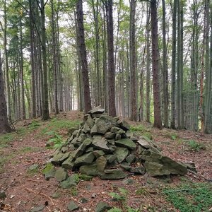 Šárka na vrcholu Medvědí skály (26.9.2024 17:31)