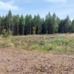 Mykas na vrcholu Kostelec  (31.8.2024 14:07)