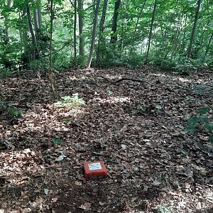 ZdenkaV na vrcholu Komorní hůrka (19.6.2022)