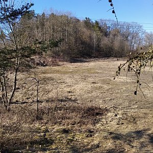 D3etre na vrcholu Komorní hůrka (7.3.2021 14:22)