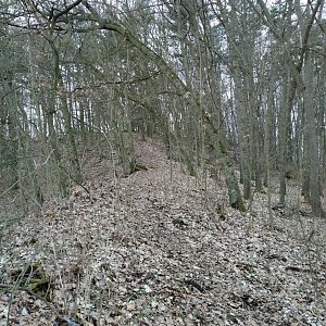 D3etre na vrcholu Komorní hůrka (17.3.2021 16:09)