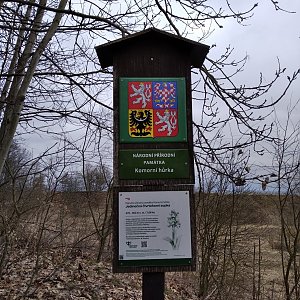 D3etre na vrcholu Komorní hůrka (23.3.2021 12:05)