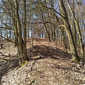 D3etre na vrcholu Komorní hůrka (30.3.2021 11:48)