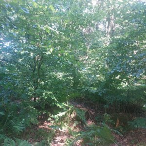 Cyklista 73 na vrcholu Haltrava (11.8.2023 14:49)