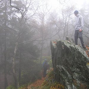 Badger on the summit of Sádkova skála (14.11.2015 10:00)