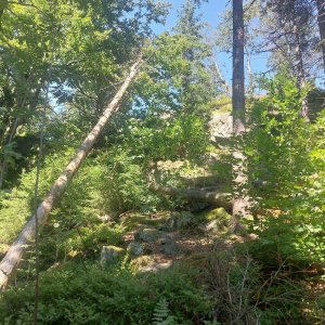 Cyklista 73 na vrcholu Sádkova skála (11.8.2023 15:07)