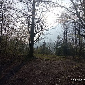 Juditka na vrcholu Vlčina SV (1.5.2021)