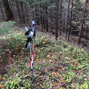 Radka D na vrcholu Trojačka JZ vrchol (11.10.2022 14:30)