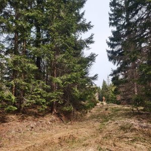 Ila na vrcholu Okrouhlice S vrchol (25.3.2026)