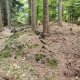 Ivo na vrcholu Okrouhlice S (25.5.2025)