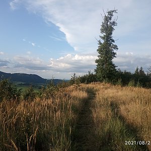 Juditka na vrcholu Na Stašku S (23.8.2021 18:37)