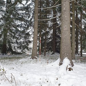 Petr Pepe Peloušek na vrcholu Kudlačena Z vrchol I (8.1.2021 12:07)