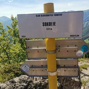Raduš Nováková on the summit of Sokolie (19.6.2024 10:20)