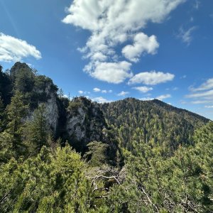 akam on the summit of Sokolie (9.5.2025 11:35)