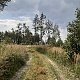 ZdenkaV na vrcholu Na Malém Valštejně (16.7.2021 15:37)