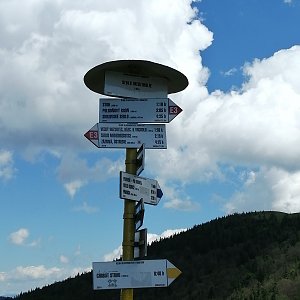 Moko na vrcholu Stoh (30.6.2020 14:17)