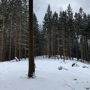 Alexandr Starý na vrcholu Lačnov (5.3.2022 11:25)